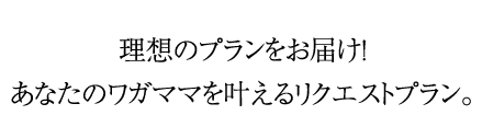 理想のプランをお届け！あなたのワガママを叶えるリクエストプラン。